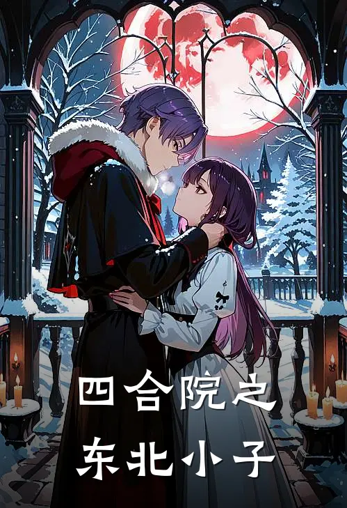 四合院之东北小子